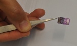 Nano-Sensor Detects Harmful Airborne Substances