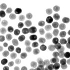 Nickel Phosphide Nanoparticles for Cleaner Energy Technologies