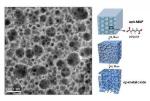 Novel Method to Synthesize Hierarchically Nanoporous Frameworks of Nanocrystalline Metal Oxides