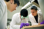 UnderGraduates Earn UCSD’s First Bachelor’s Degree in Nanoengineering