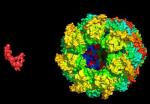 Four Different NMR Spectroscopy Techniques Help Crack Key Protein Interaction