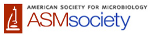 Nano-Scale Microarray May Aid in Rapid Drug Discovery for Fungal, Bacterial Infections