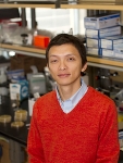 Advances in Better Comprehension of Cell Fate Determination