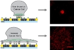 Gold Nanodot Obstacle Arrays Used in Study of Malignant Activity of Cancer Cells