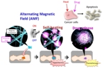 Novel Nanofiber Mesh Simultaneously Realizes Thermotherapy and Chemotherapy of Tumors