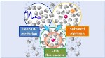 Ultrafast Fluorescence Spectroscopy Reveals Solvent Interfere with Electron Transfer