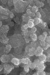 OSU Researchers Use Ethylene Glycol for Making Thin-Film Solar Cells