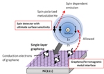 Electronic Spin State of Graphene Contacted to Magnetic Metal Detected