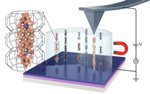 Researchers Successfully Create Perfect One-Dimensional Molecular Wires