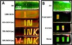 3D Nanostructured Chip Watermark Ink Receives 2013 R&D 100 Award