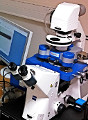 Researchers from Université de Paris-Sud and CNRS Montpellier Use JPK AFMs to Characterize Living Bacteria