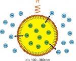 Perfluorocarbon Nanoemulsion Gas Bubbles Hold Promise for NMR and MRI