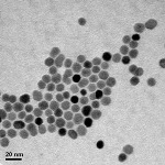 Researchers Assess Heating Effect of Magnetic Nanoparticles to Treat Cancer