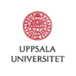 Uppsala Researchers Synthesize Novel Material with Nanopore Structure
