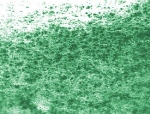 Enzyme Nanocapsules in Sponge-Like Matrix May Help Treat Diabetes