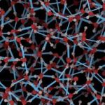 Periods of Rest Follow Concerted Proton Hopping