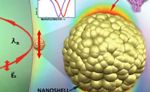 Nano-Enhanced Microcavity Biosensor Used to Detect Single Cancer Marker Protein