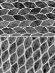 New Tool for Programming Creation of Nanocrystals