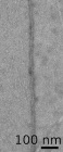 Water Helps Form Long Graphene Nanoribbons