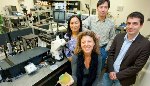 Nanostructured Black Metals May Help Develop More Efficient Photovoltaics