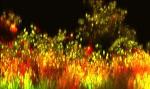 Small Intestine Uses More Cells to Absorb Large Microspheres Containing Therapeutic Protein Drugs