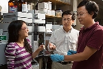 New Tool to Add Strong, Unbreakable Bonds Between Two Points in Proteins