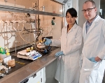 Novel Method to Synthesize Nanomaterials with Stainless Steel-Like Interfaces