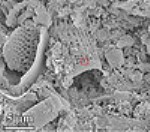 Novel Compound May Enable Mass Commercial Production of Silicon Nanostructures