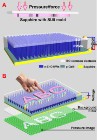 Nanosensor Converts Fingerprints into Light Signals for Optical Processing