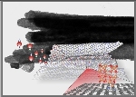 Nitrogen Doped Graphene Rolled into Archimedean Nano Scrolls