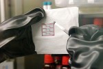 Controlling Nanostructure and Morphology May Aid Development of Inexpensive Organic Solar Cells
