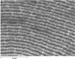Integran Layered and Graded Material Technology Granted Patent Protection in Europe