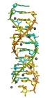 Identification of RNA Double Helix Structure May Aid Biological Nanomaterials Research