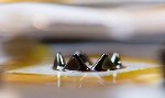Miniaturized Rocket Engines with Ferrofluid Ion Thrusters Power Nanosatellites