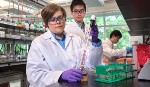 Superparamagnetic Iron Oxide Nanoparticles May Help Determine Risk of Heart Attack