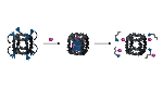DNA Nanoscale ‘Cages’ Can Encapsulate and Release Small-Molecule Drugs