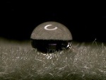 UH Researcher Launches Nanotech Company, C-Voltaics