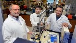 DNA Nanoparticles Reveal Critical Role of Protein STING