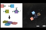 Programmable DNA Glue Guides Gel Bricks to Self-Assemble into Complex Structures