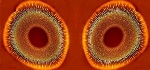 NPL Contributes Nanoscale Images to Guardian's Nanotechnology Blog