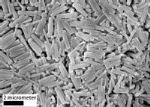 Powerful New Method to Control Speed and Direction of Motion of Microscopic Structures in Water