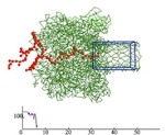 NIH Awards $1.08 Million Grant to Improve DNA Sequence Reading
