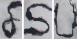 Spider Silk Coated With Carbon Nanotubes Conducts Electricity