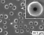 Microscopic, Bottle-Like Structures can Release Drugs Inside the Body