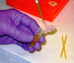 Improved Microfluidic Technique for Recovering DNA from Complex Mixtures