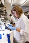Researchers Endeavor to Develop Advanced Methods for Extracting Nanomaterials from Water
