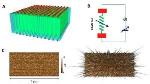 Conductive Nano-Filaments in Amorphous TiO2 Thin Films Hold Promise for Resistive Switching Devices