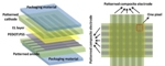 New Transparent, Ultra-Stretchable, Foldable Elastic OLED