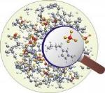 Scientists Use NMR Spectroscopic Method to Study Intermolecular NOEs in Ionic Liquids