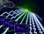 Wireless Technology Inspires New Fluorescence Imaging Using Radiofrequency-Tagged Emission Microscopy Technique